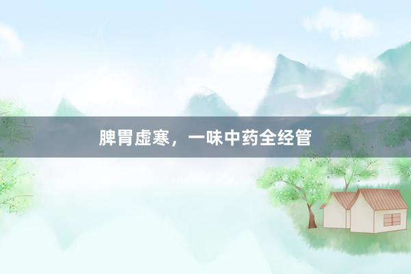 脾胃虚寒，一味中药全经管