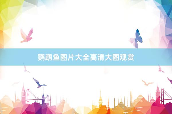 鹦鹉鱼图片大全高清大图观赏